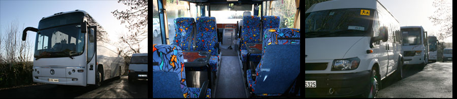 coaches and buses